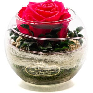 infinity Rose in Glas Vase - Ewige Rosen Geschenkidee
