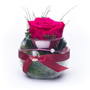 infinity Rosenstrauß im Glas Magenta mit konserviertem Moos und Foliage von Rosen-Te-Amo