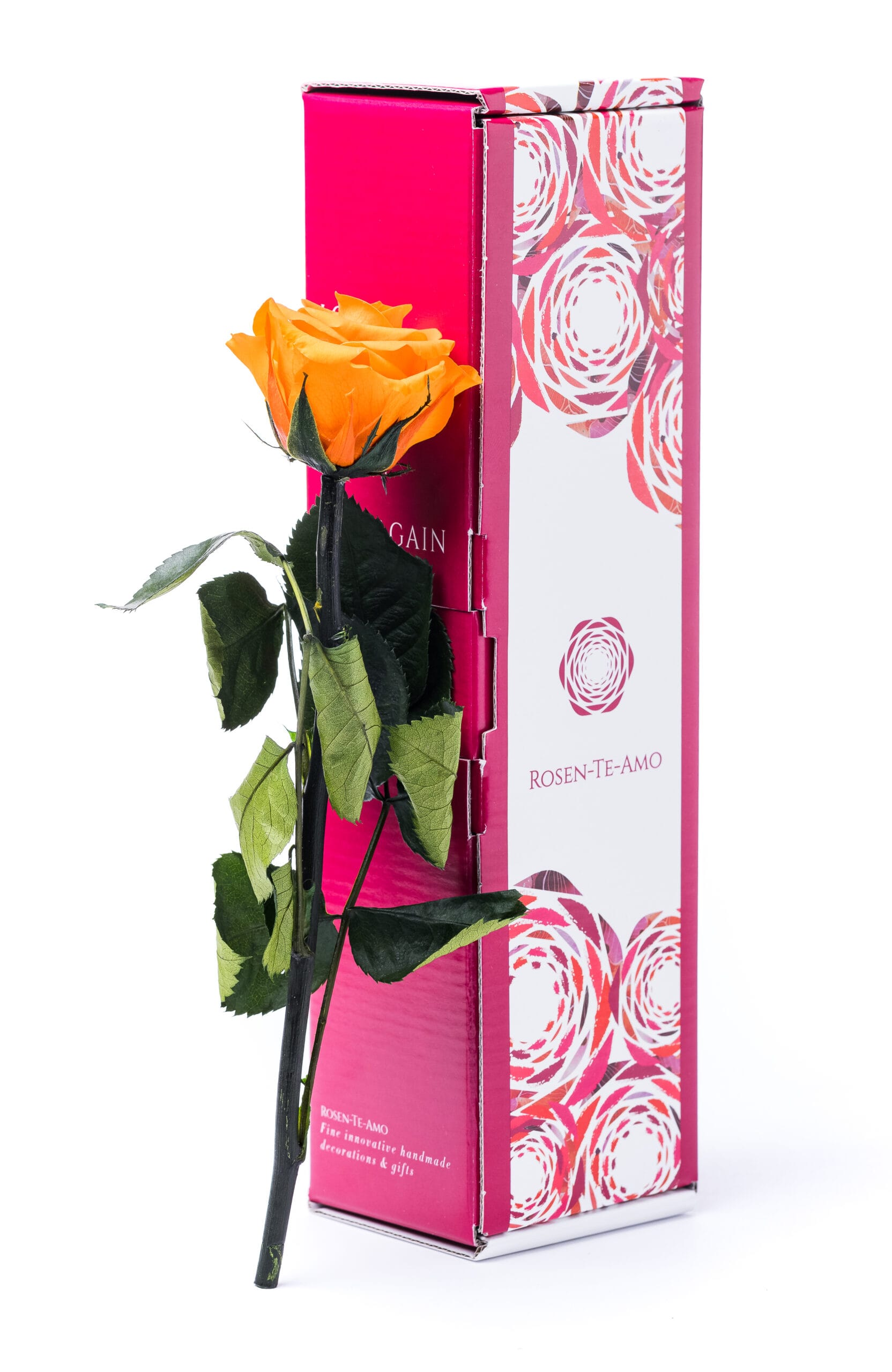 konservierte Rose orange mit Stiel 27cm - Rosenbox