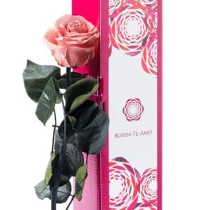 konservierte Rose rosa mit Stiel rosa 27cm von Rosen-Te-Amo