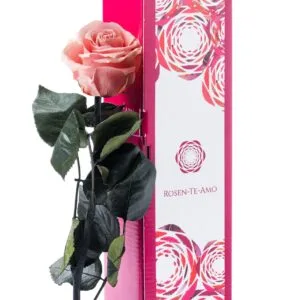 konservierte Rose rosa mit Stiel rosa 27cm von Rosen-Te-Amo