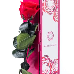 Echte konservierte Rose rot mit stiel 27 cm Lang