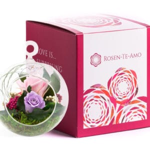 konservierte rosenarrangement pink