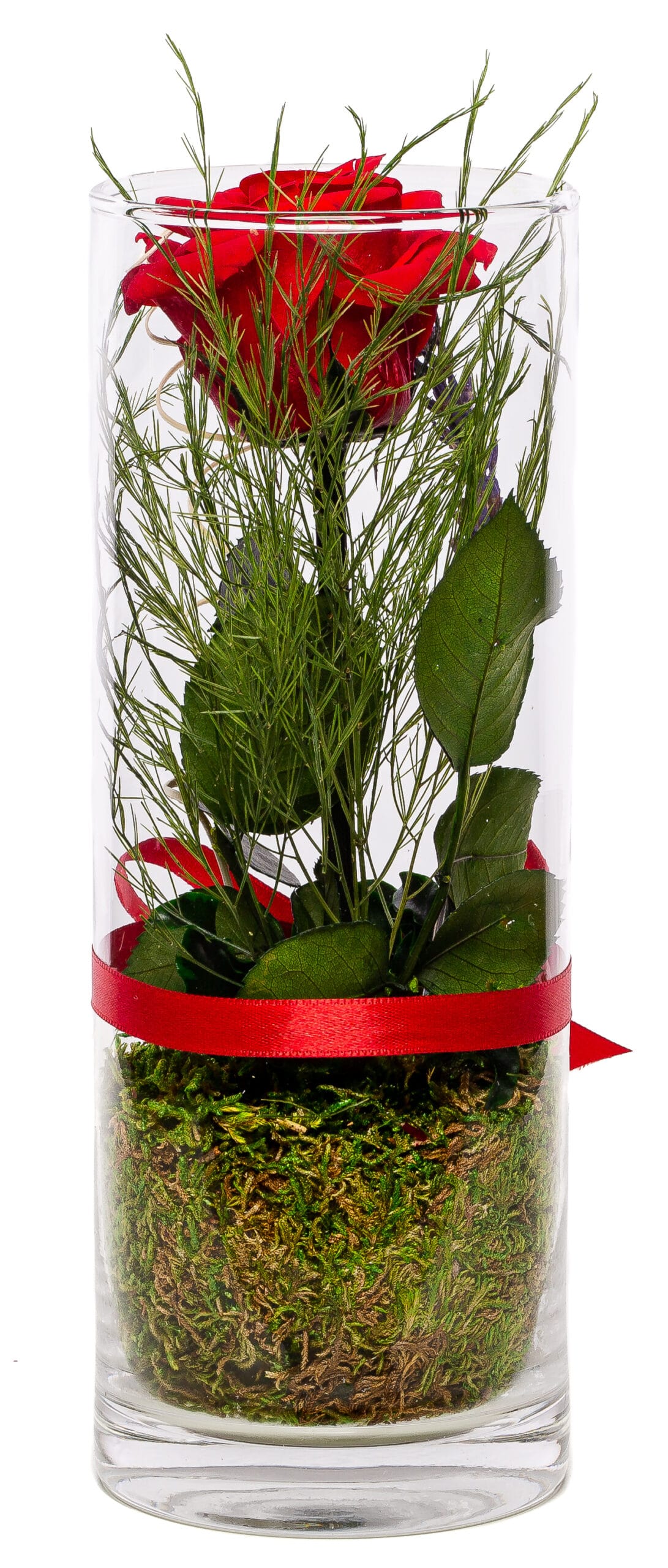 Rosen-Te-Amo - Konservierte Rose in zylindrischer Vase | Rot mit zartem Duft