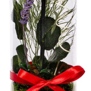 Konservierte Rose in zylindrischer Vase | Rot - Rote Rose am Stiel