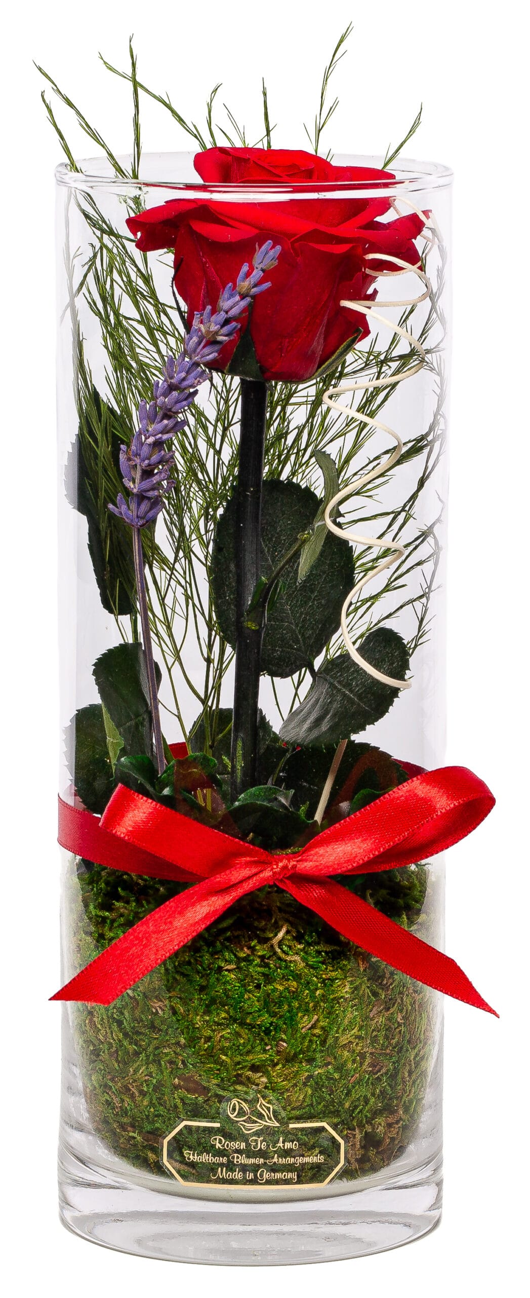 Konservierte Rose in zylindrischer Vase | Rot - Rote Rose am Stiel