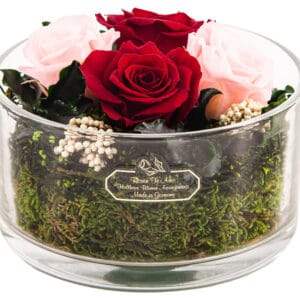Konservierter Blumenstrauß rosa & dunkel rot in einer Runde Glas Vase von Rosen-Te-Amo
