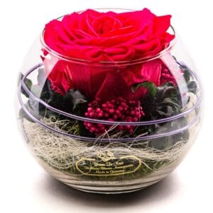 Premium Konservierte Rose in Glasvase - Dunkelrosa