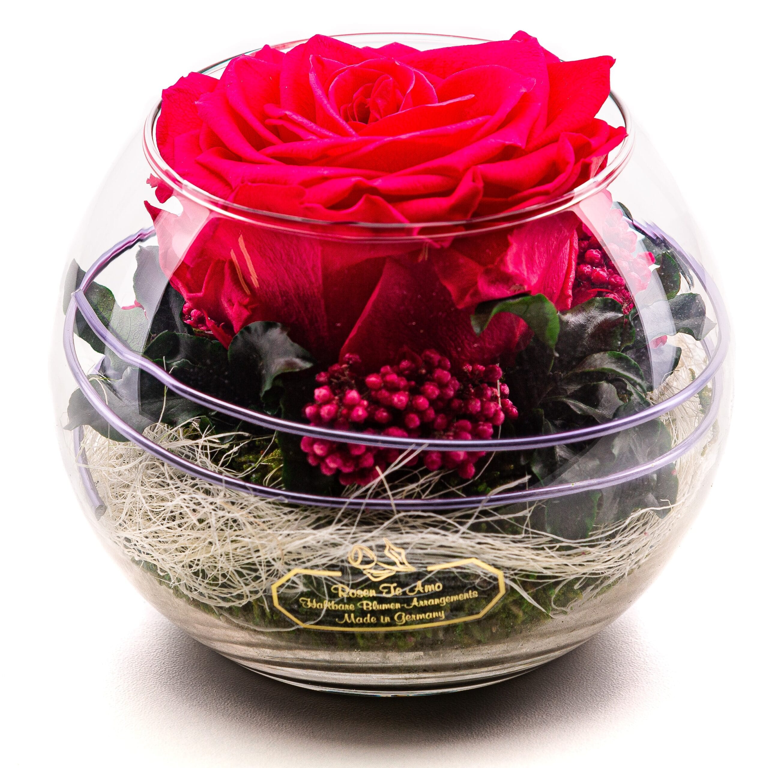 Premium Konservierte Rose in Glasvase - Dunkelrosa
