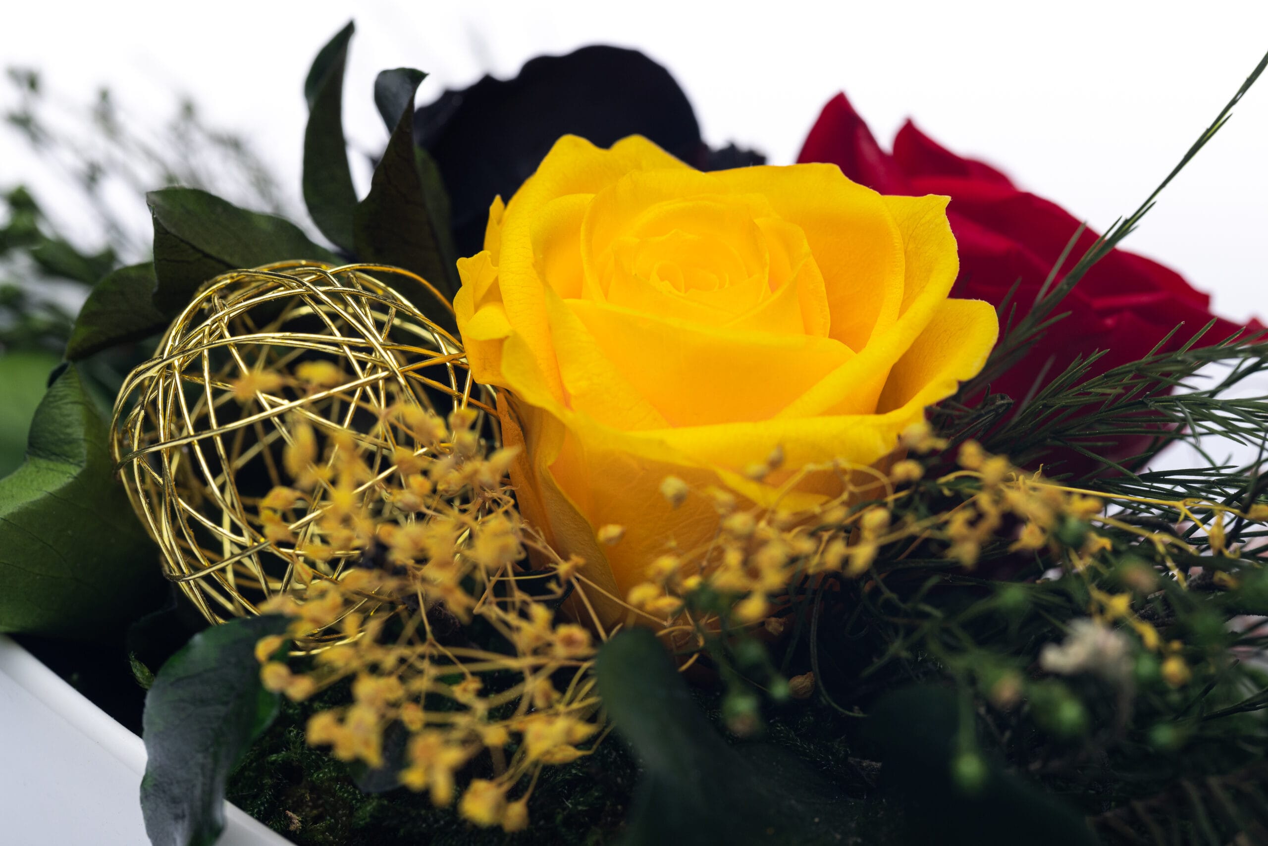 Konservierte bunter Rosenstrauß in der keramiker Schale - gelbe,schwarze und rote Rosen