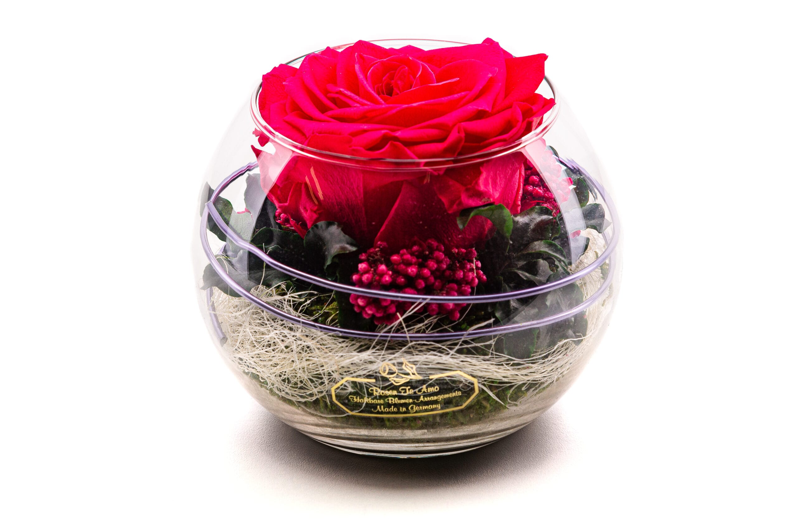 Premium-Infinity-Rosen-im-glas