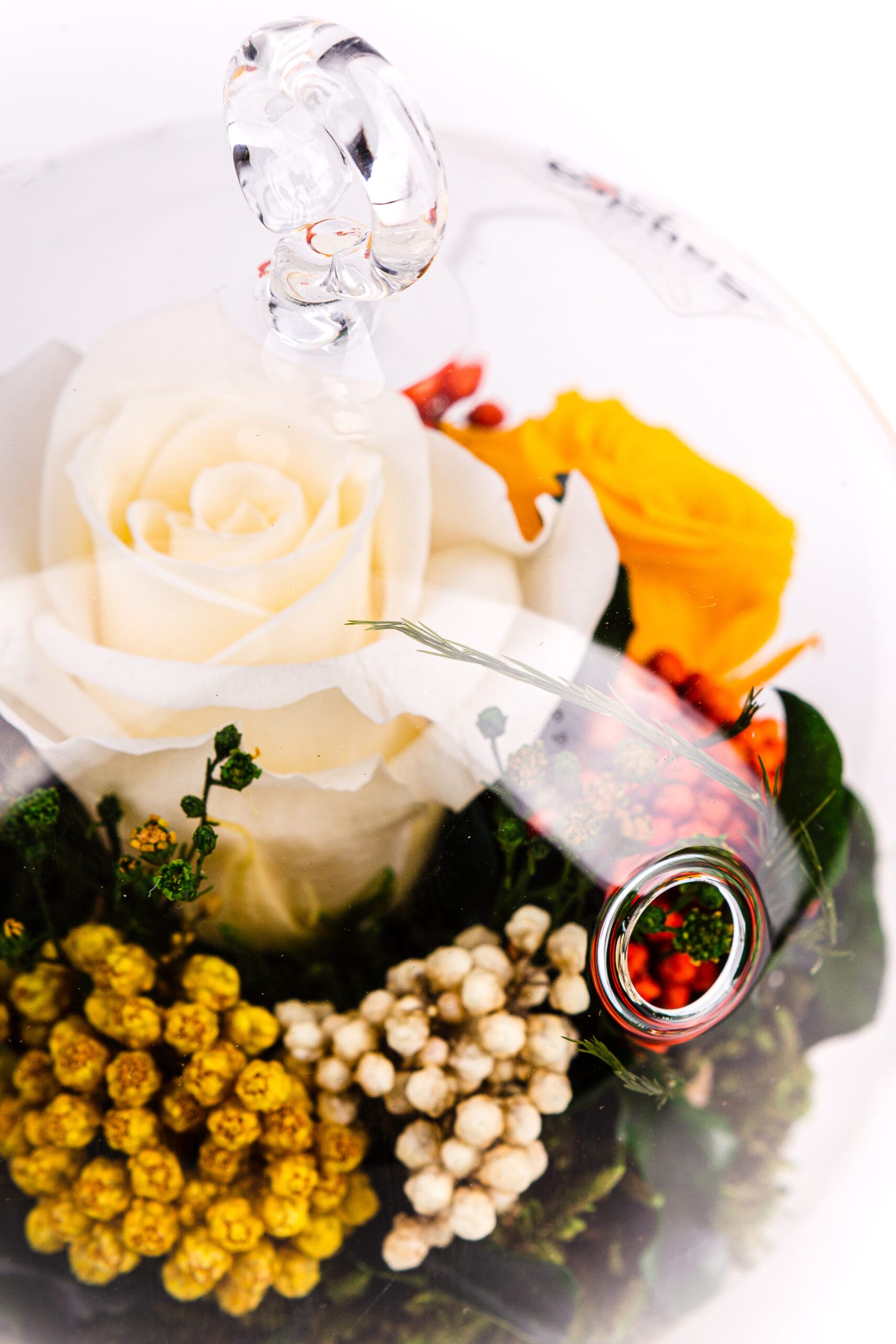 Echte Rose im Glas Gelb und Weiß von Rosen-Te-Amo-Details