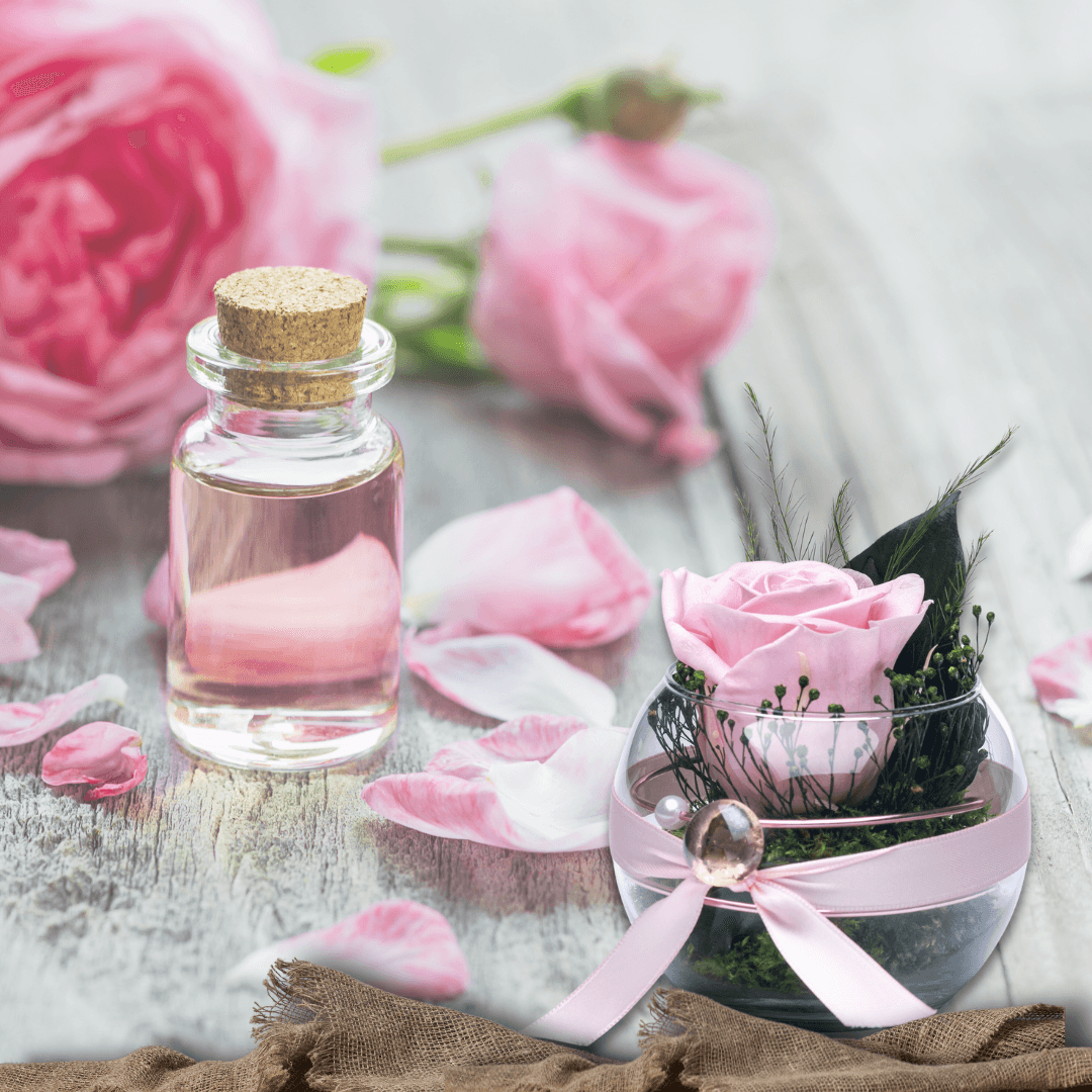 Konservierte Rosen im Glas leicht Pink von Rosen-Te-Amo