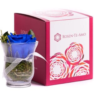 infinity Rose blau in Hurricane Vase Glas Vase von der Marke Rosen-Te-Amo