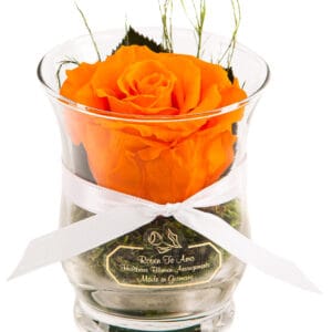 Infinity Rose Hurricane-Vase orange - orange Rose in einer Hurricane Vase