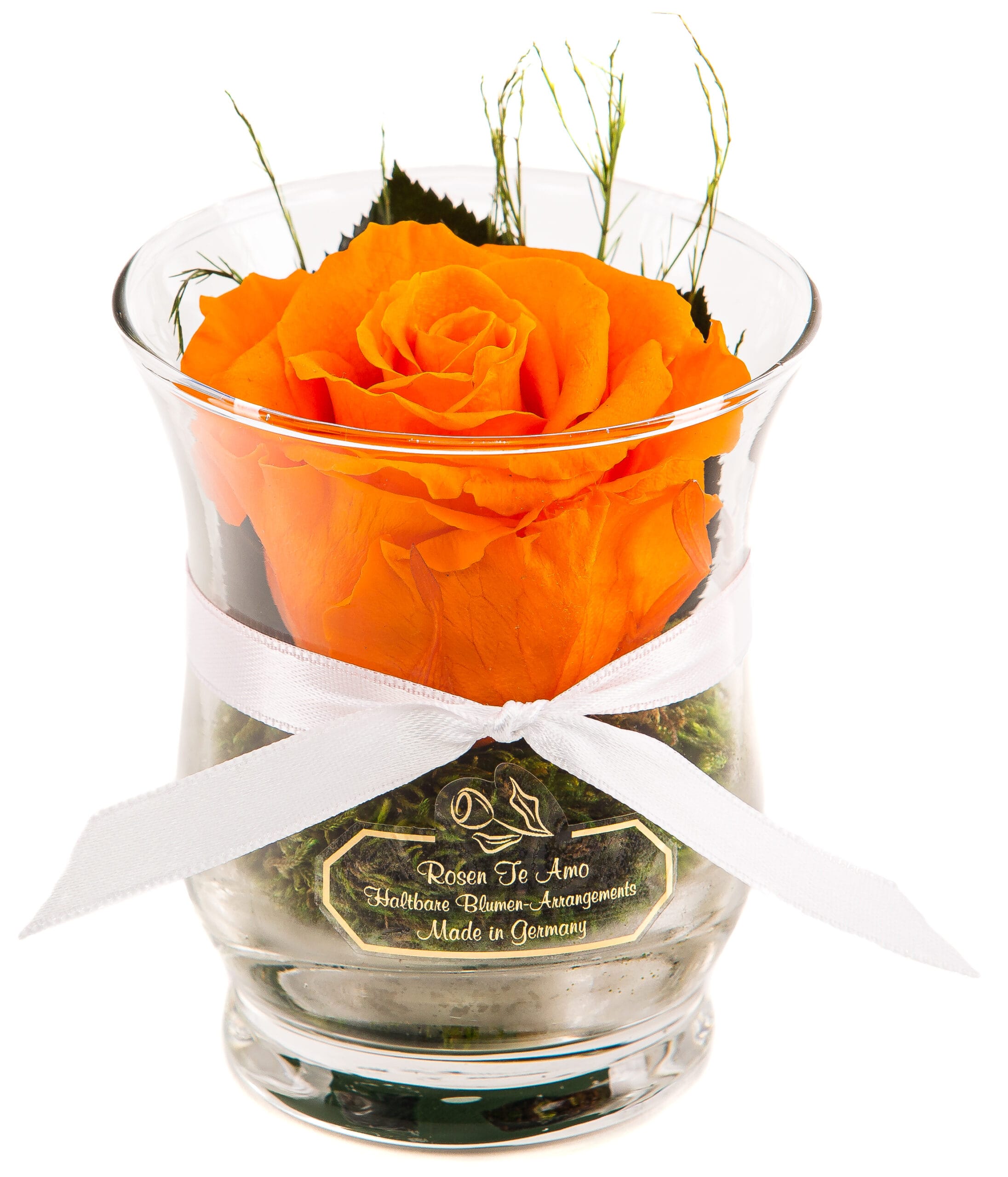 Infinity Rose Hurricane-Vase orange - orange Rose in einer Hurricane Vase