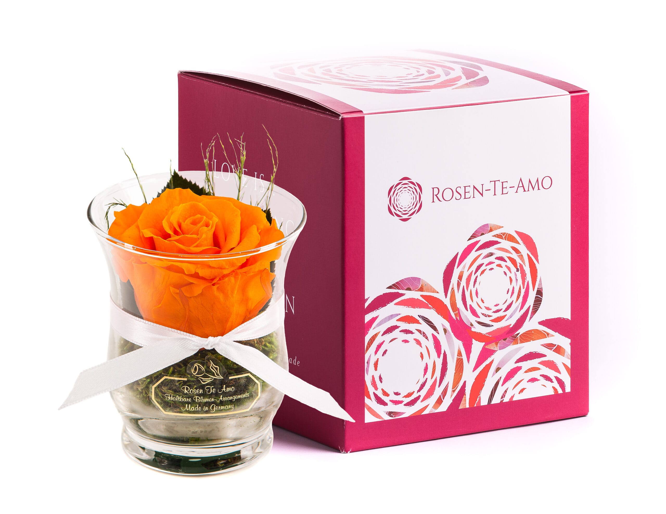 Infinity Rose Hurricane-Vase orange - orange Rose in einer Hurricane Vase infinity Rosenbox