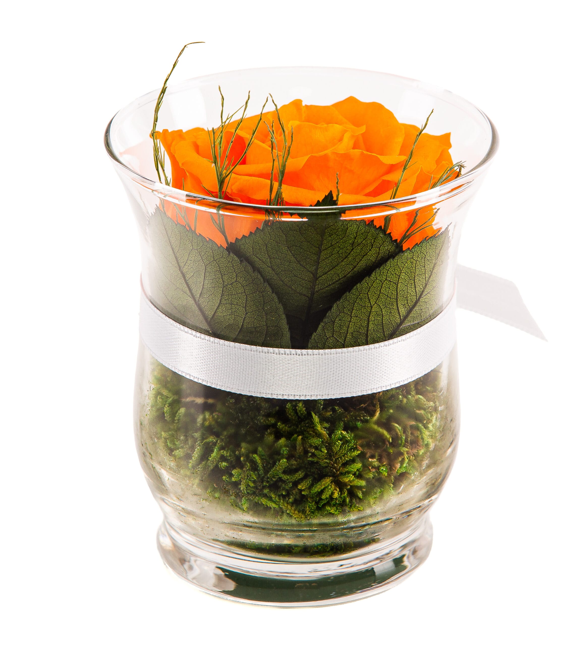 Infinity Rose Orange - Hurricane vase back