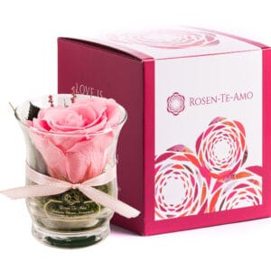 Infinity Rose Rosa in Hurricane Vase von der Marke Rosen-Te-Amo