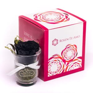 Infinity Rose schwarz im Glas Rosen-Te-Amo