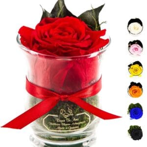 Infinity Rose rot mit Konserviertem Mooß und Bindegrün von Rosen-Te-Amo
