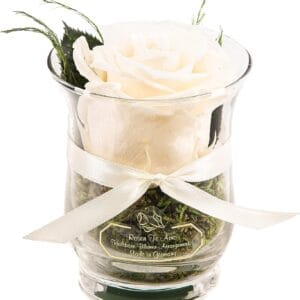 Infinity Rose weiß im Glas - echte Rosen weiß in einer Hurricane Glas von Rosen-Te-Amo