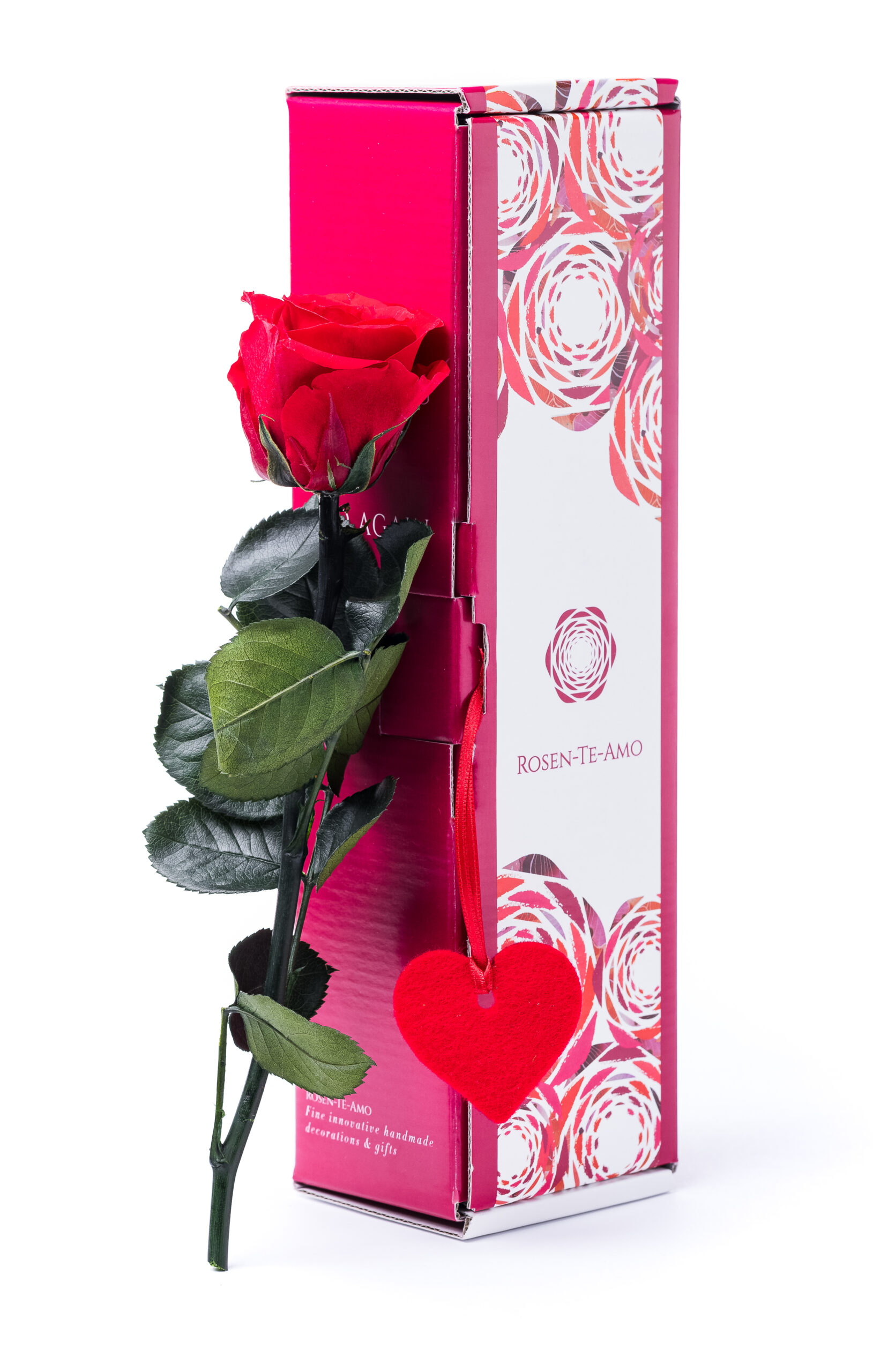 ECHTE KONSERVIERTE ROSE AM STIEL – ROTE ROSEN