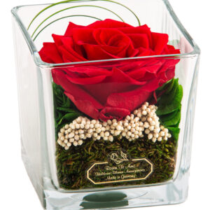 premium konservierte rote Rose - konserviertes Rosengesteck im Glas von Rosen-Te-Amo