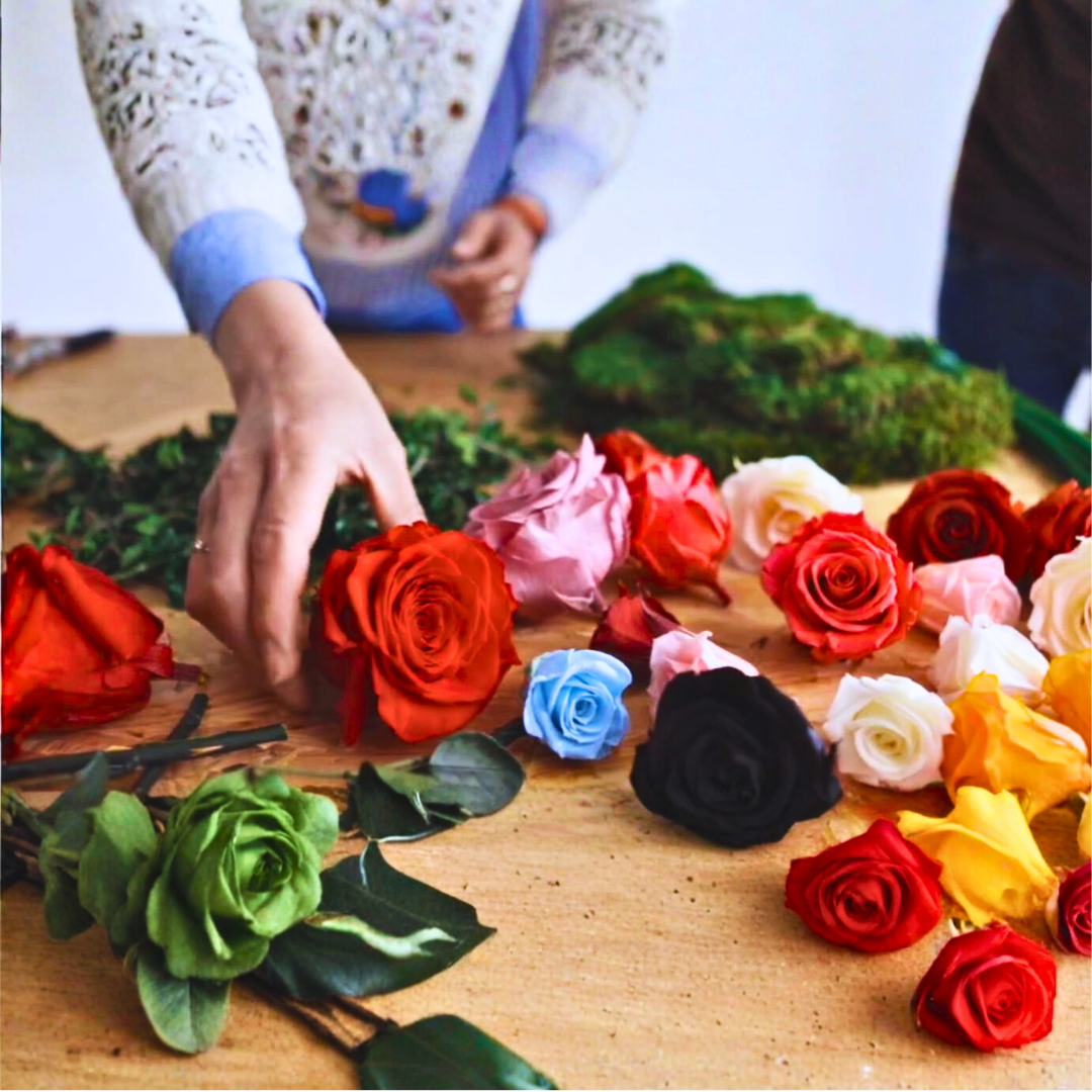 RosenTeAmo duftende Rose