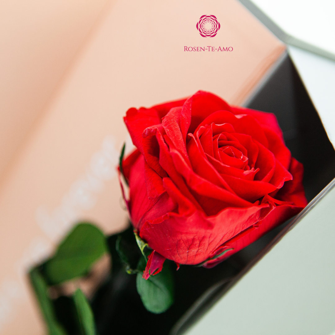 INFINITY ROSE AM STIEL premium Luxus Rosen 55 cm