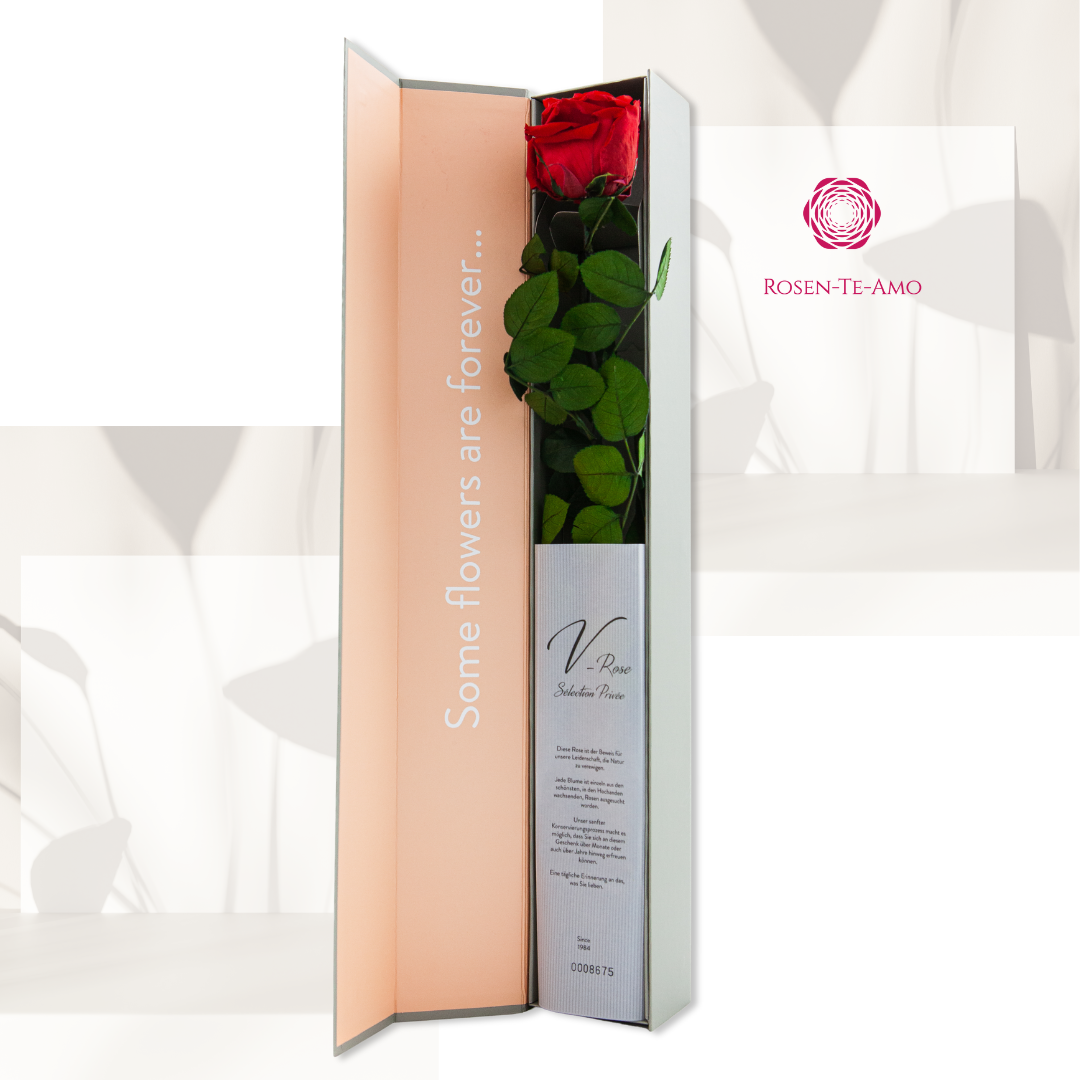 ROSEN-TE-AMO _INFINITY_ROSE_AM_STIEL Details Top