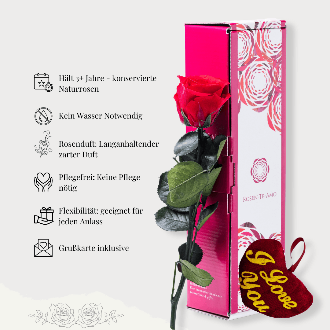 Echte konservierte Rosen rot am Stiel von Rosen-Te-Amo