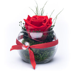 Konservierte Rose im Glas Rot – Ewige Rosen Geschenk