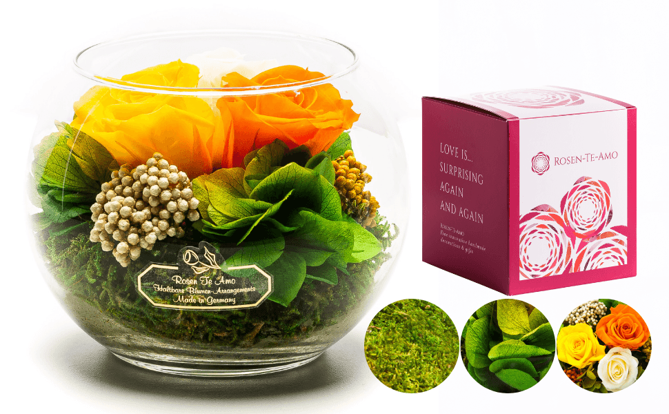 Rosen-Te-Amo ewige Rosen Geschenke im Glas Champagne, gelbe und orange Rose