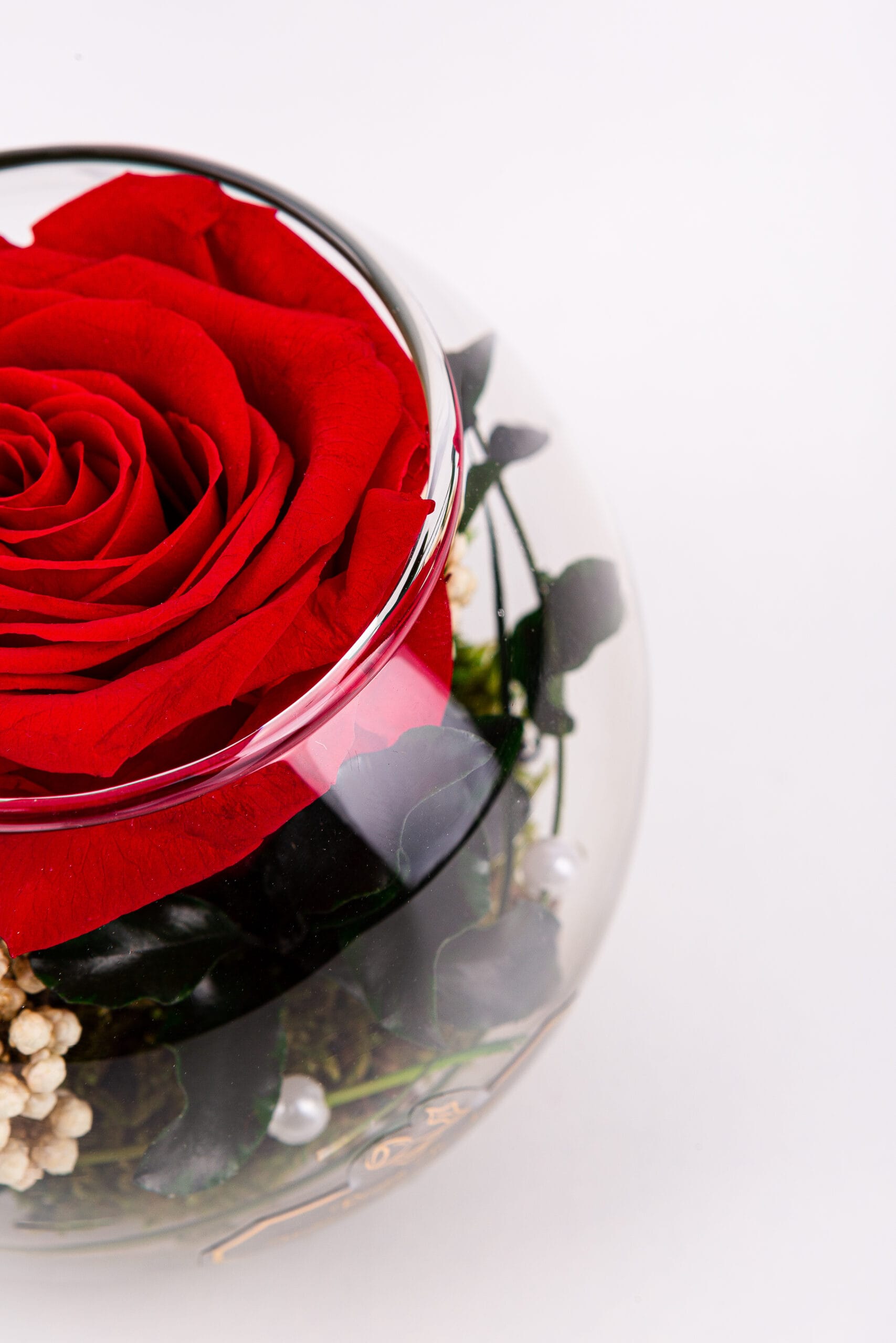 ewige Rosen im Glas mit Konserviertem Moos Und Bindegrün dekoriert - von Rosen-Te-Amo details