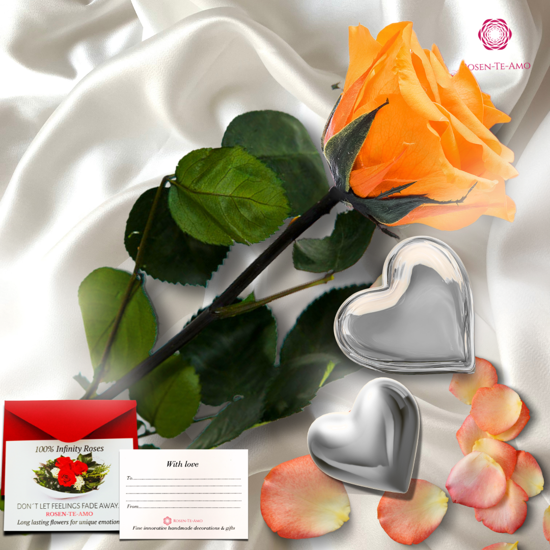 Orange Rosen am Stiel