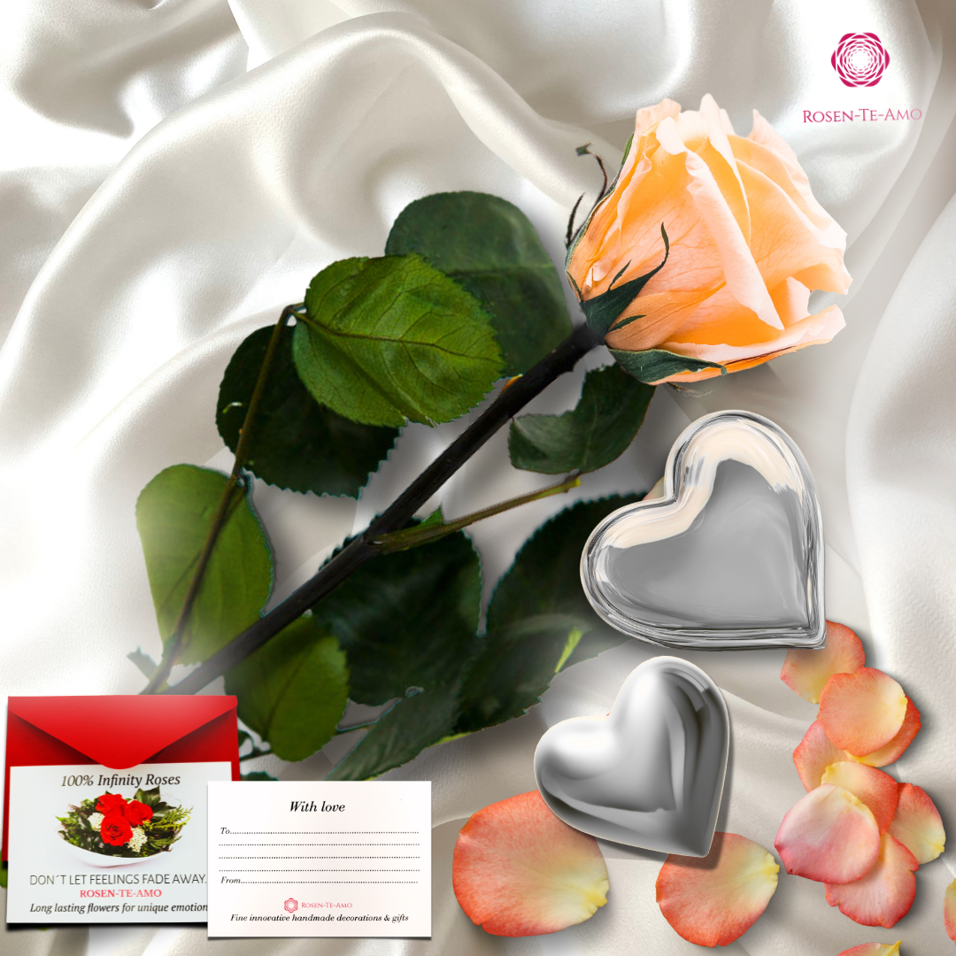 konservierte Rose Pfirsich