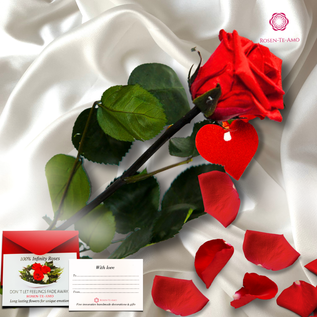 infinity Rose am stiel Rot + Herz Plüsch