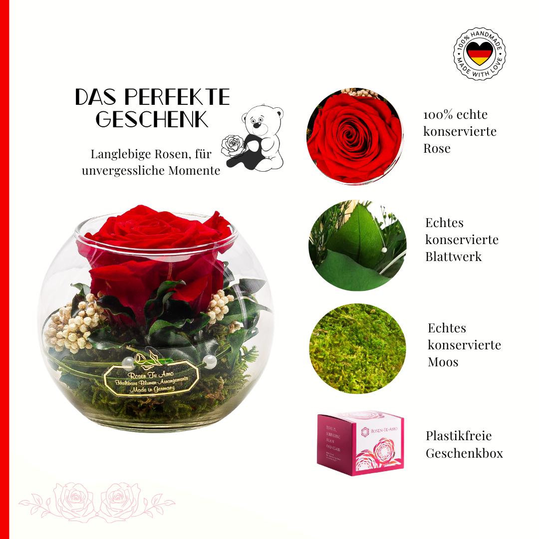 Konservierte Rose im Glas Rot – Ewige Rose online kaufen“ Produkt details