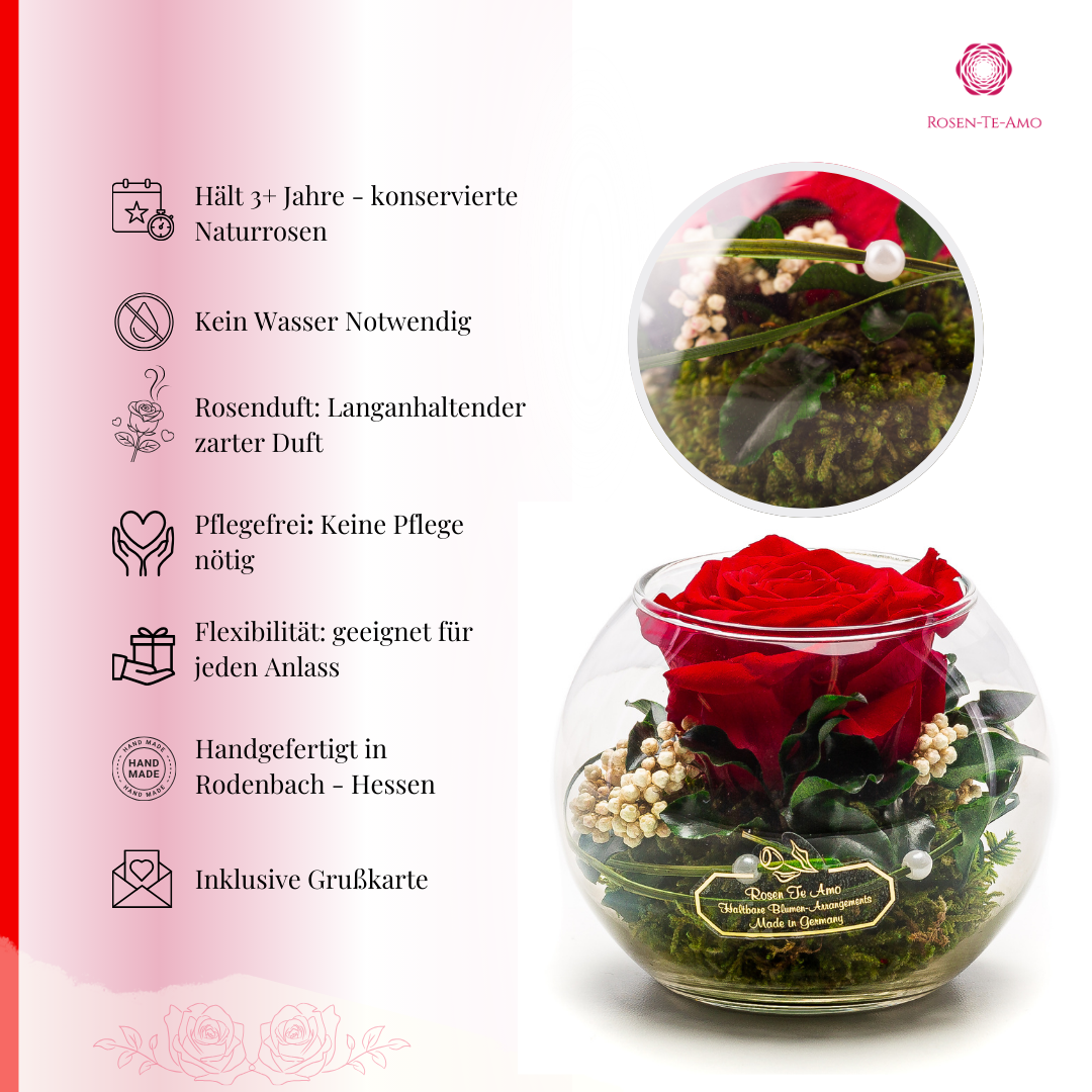 Konservierte Rose im Glas Rot – echte Rose online kaufen“