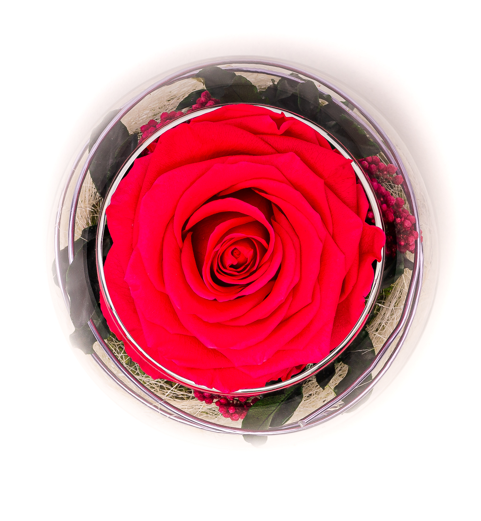 Ewige Rosen im Glas dunkelrosa