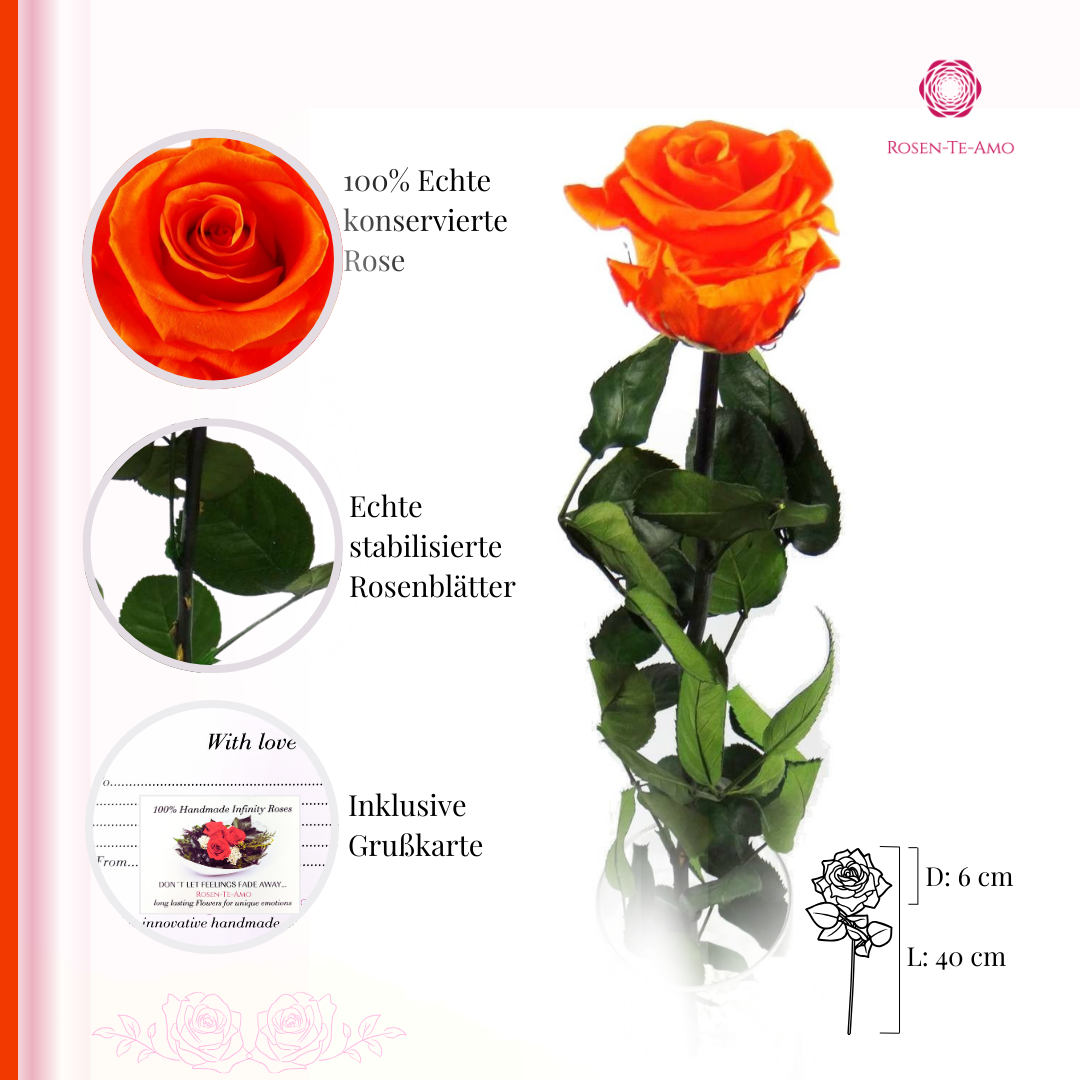 Infinity Rose am Stiel orange