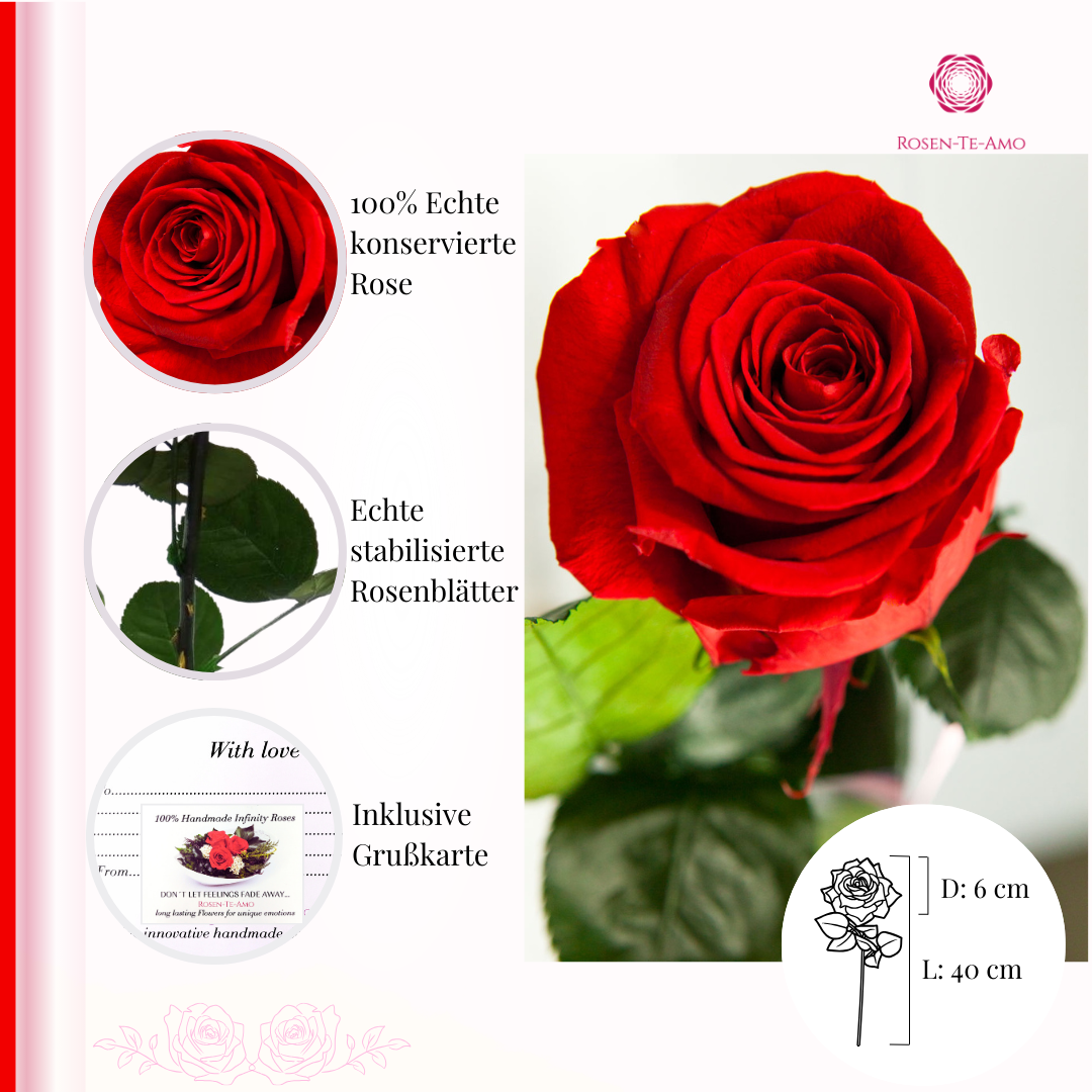 Infinity Rose am Stiel rot