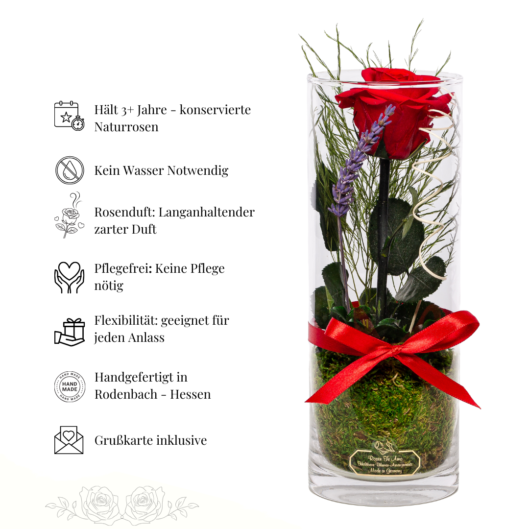 Konservierte Rose in zylindrischer Vase mit Rosenduft
