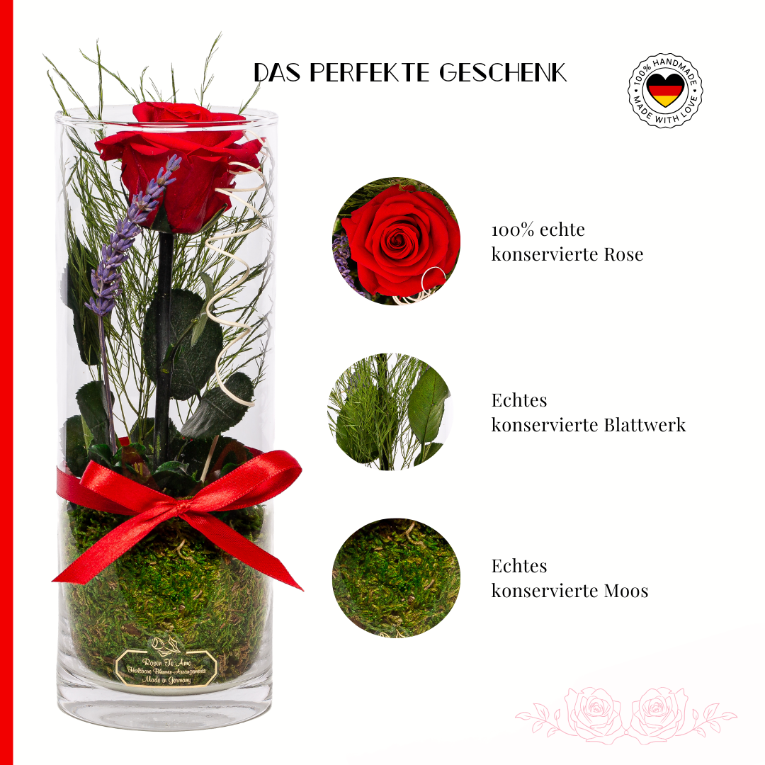 Konservierte Rose in zylindrischer Vase mit Rosenduft