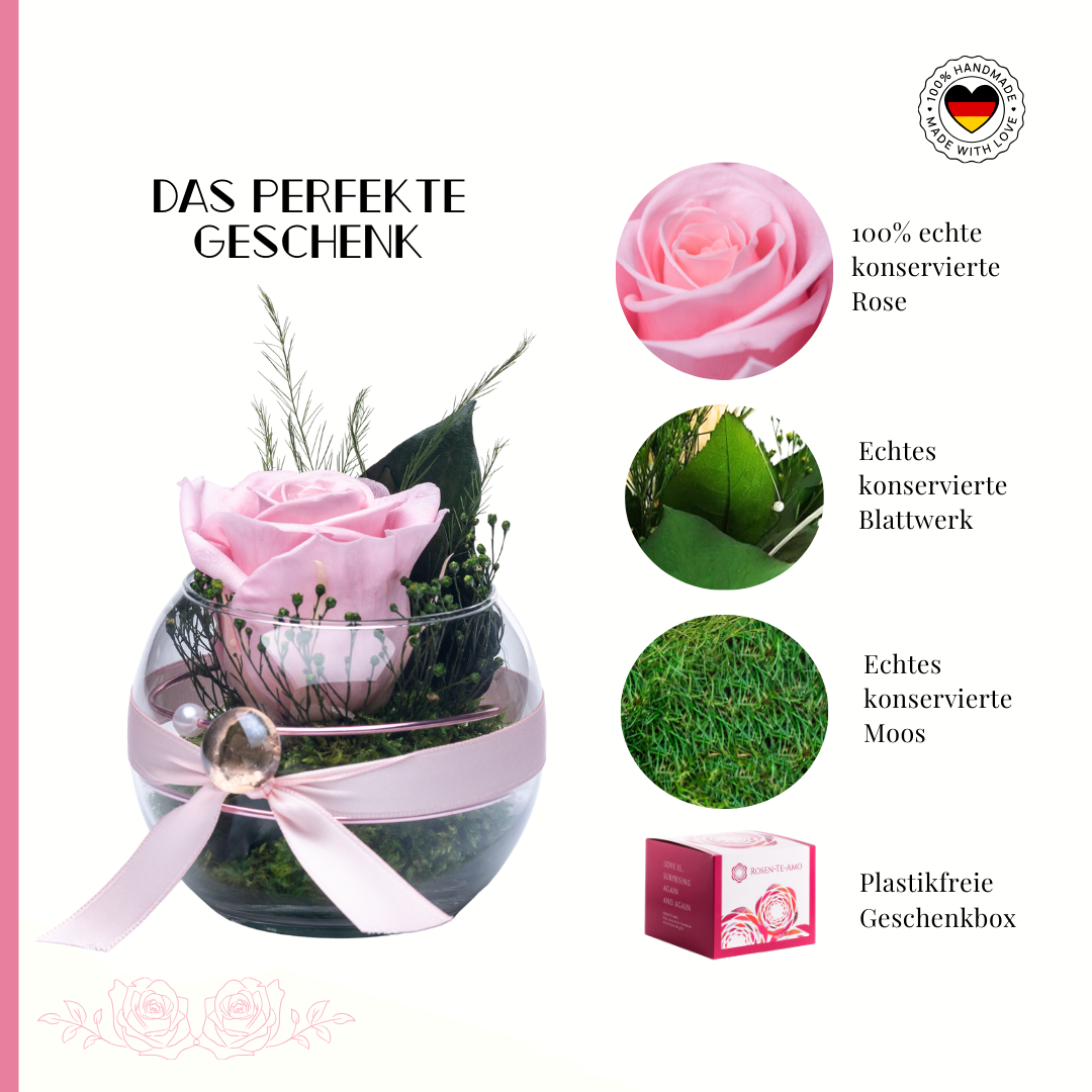 Konservierte Rose Pink im Glas – Infinity Rose | Elegantes Rosen Geschenk