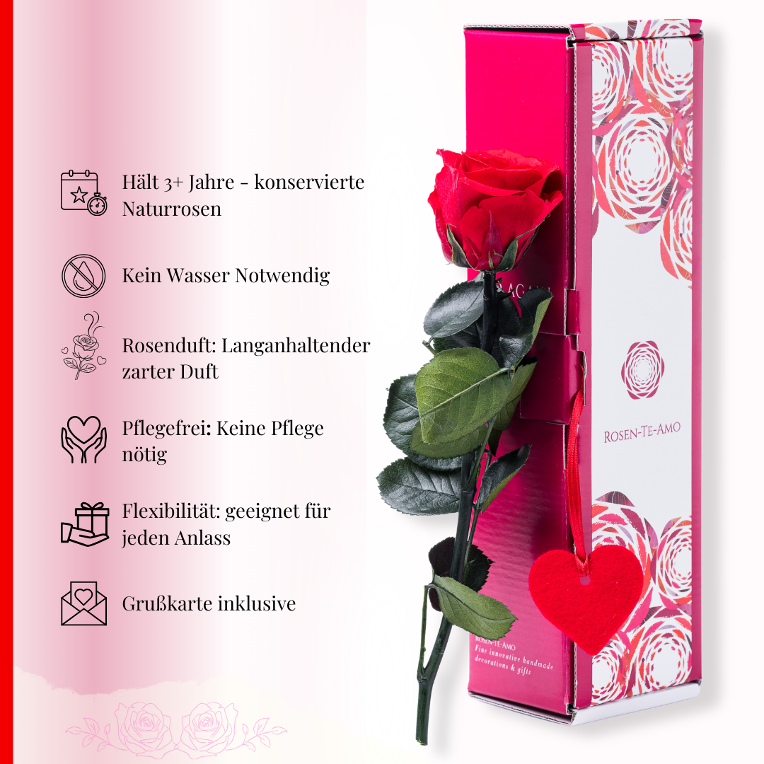 Pflegehinweise infinity Rose am stiel Rot + Herz Plüsch