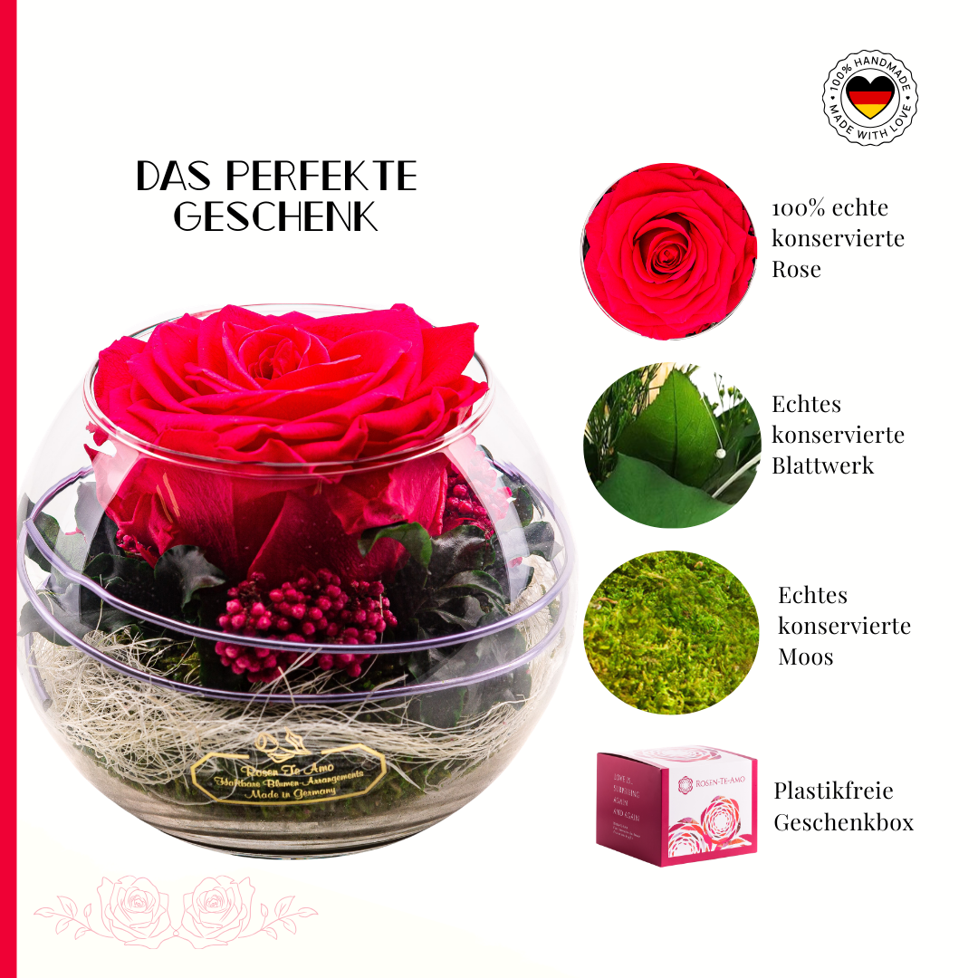 konservierte Rosen im Glas - online kaufen