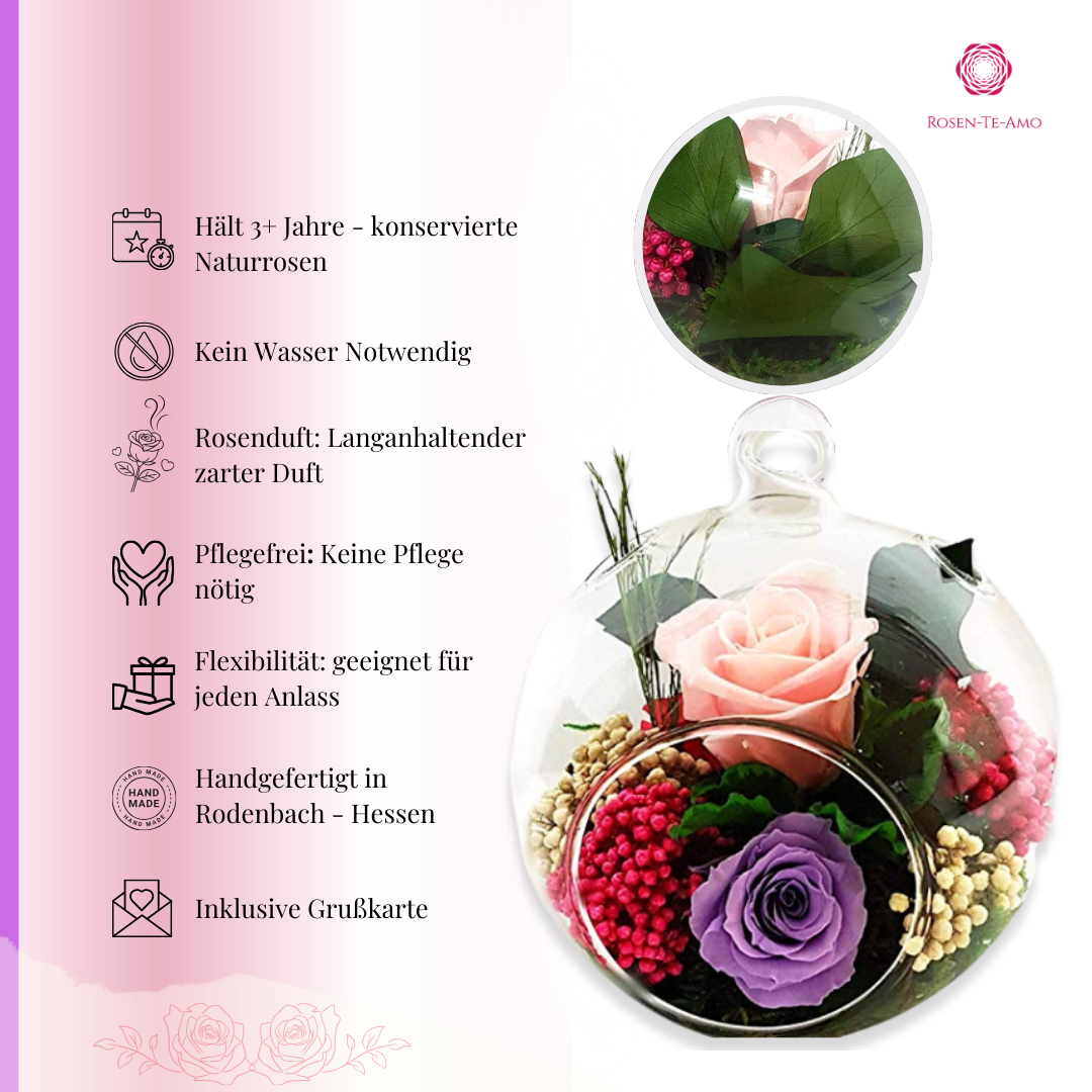 Konservierte Rosenarrangement Rosa