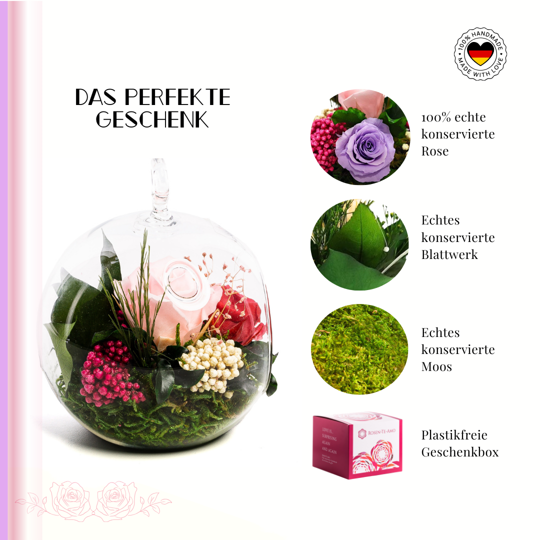 Konservierte Rosenarrangement Rosa